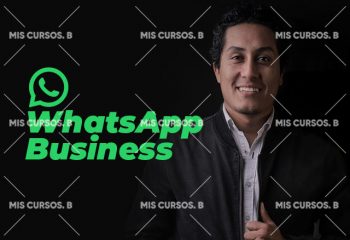 WhatsApp Business de Diego Vallejos